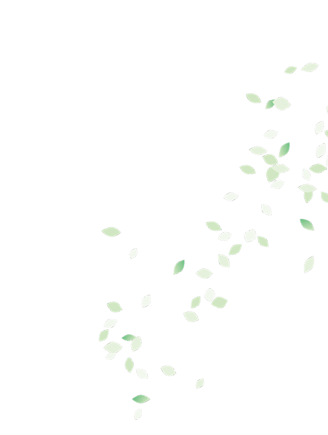 葉っぱのイラスト