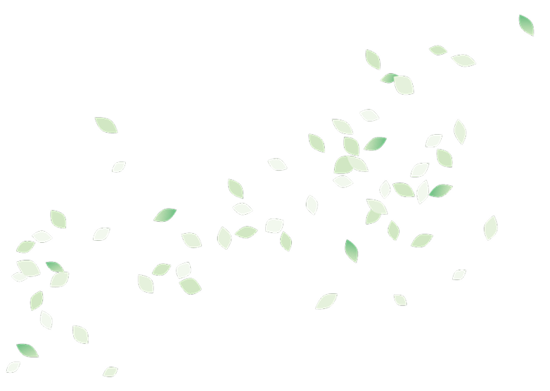 葉っぱのイラスト