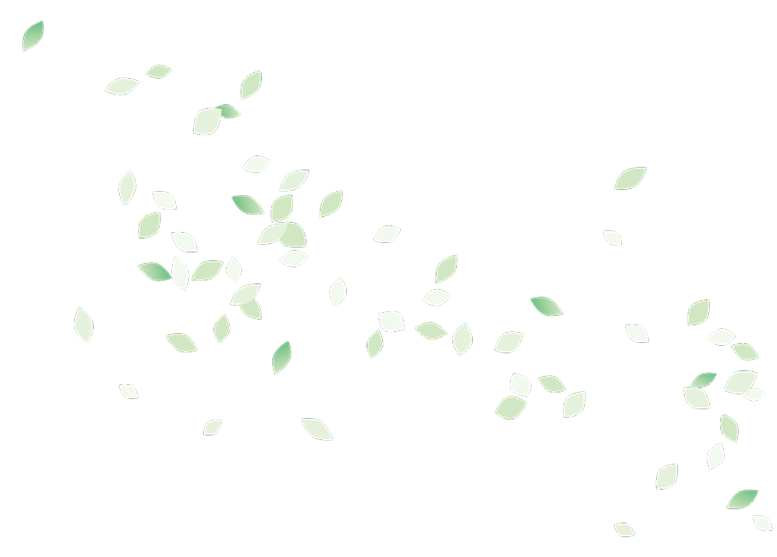 葉っぱのイラスト