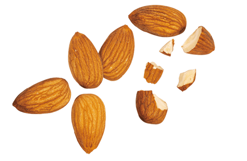 アーモンド